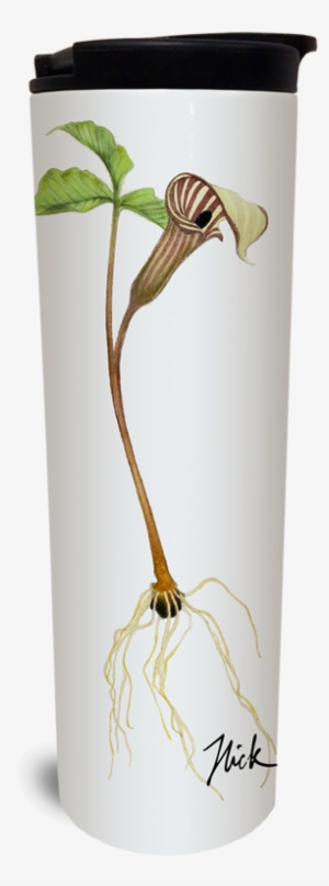 Jack In The Pulpit Tumbler - Watermark