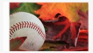 2018 Fall Ball