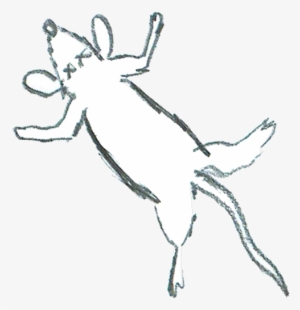 Reindeer