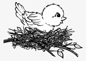 Bird's Nest Clipart Outline - Birds In Nest Drawing