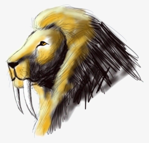 Sabertooth Lion Sketch By Dweran-d5fa2d8 - Saber Tooth Lion Drawings