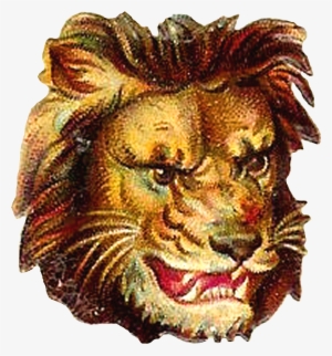 Lion Clipart Portrait - Portrait