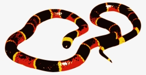 Big Image - Coral Snake Clip Art
