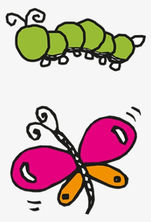 caterpillars and butterflies - caterpillar to butterfly clipart