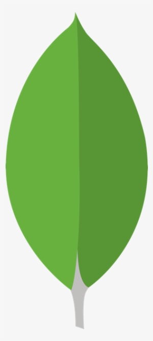 Our Products - Database Mongodb Leaf