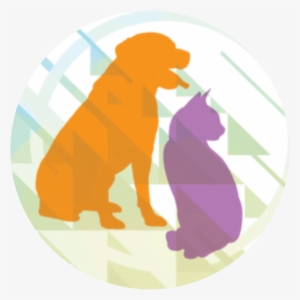 Sdma - Dog–cat Relationship