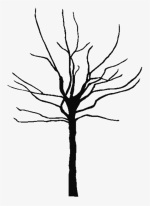 Trunk Clipart Barren Tree - Tree Outline Vector Png