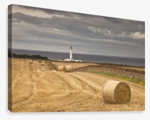 Barns Ness Lighthouse Along The Coast And Hay Bales