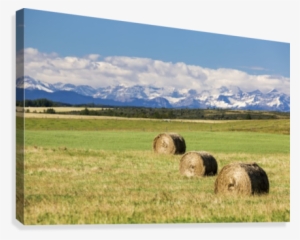 Three Hay Bales In A Field With Mountains In The Background - Posterazzi Three Hay Bales In A Field