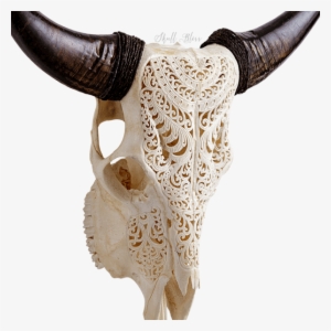 carved cow skull xl horns - cattle