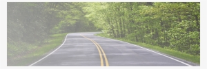 Winding Road Banner - Road With Trees On Both