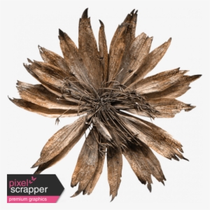 Dried Flower - Digital Scrapbooking