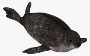 Ringed Seal - Stuffed Toy