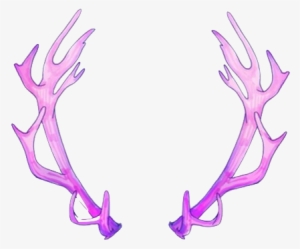 Reindeer Antlers Png Tumblr - Transparent Overlays