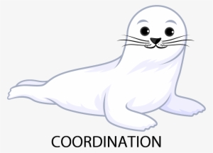 Harp Seal Cartoon Transparent
