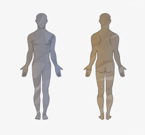 Human Outline Background - Standing