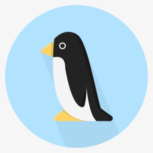 Open - Instagram Penguin