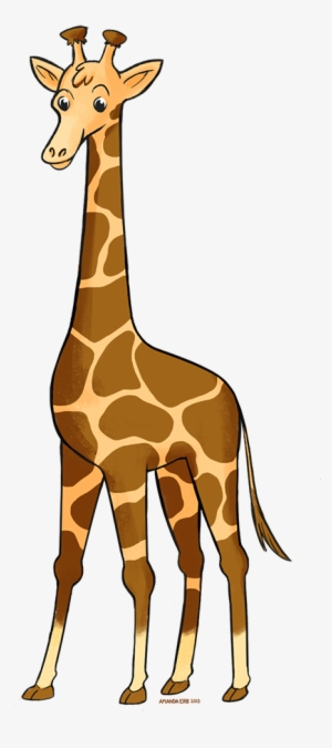 Zoo Animals - Giraffe