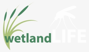 Managing Mosquitoes And The Socio-ecological Value - Wetlands Logo
