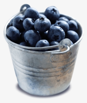 Bowl Of Blueberries - Lindon Farms 300 Serving Freeze Dried Fruits