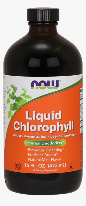 Chlorophyll Liquid - Now Foods Liquid Chlorophyll - 16 Fl Oz