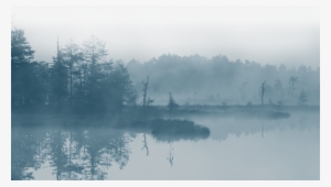 Save Our Wetlands - Mist