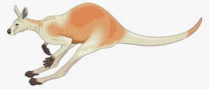 Small - Jumping Kangaroo Clipart Gif