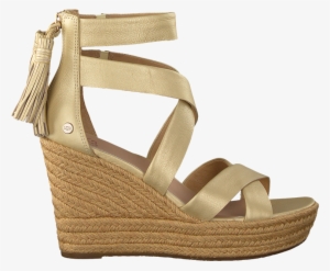 Shoe