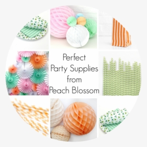 Stylish Party Decorations With Peach Blossom - Pastel Paper Ball Decorations