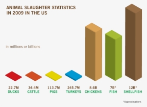 This Chart Includes Only Animals - Animal Slaughter Statistics