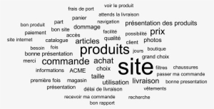 Nuage De Mots - Surveymonkey