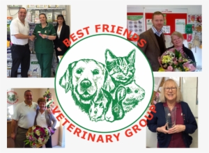 Best Friends Veterinary Group Honours Long Service - Best Friends Vets Shenfield