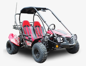 Trailmaster Blazer 150 Buggy Go Kart - Offroad Go Karts