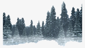 Forest Png Hd Photo - Winter Forest Png