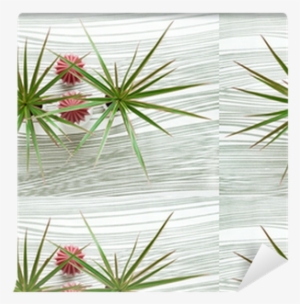 Top View Of Two Yucca Plants On Waved Background - Craft