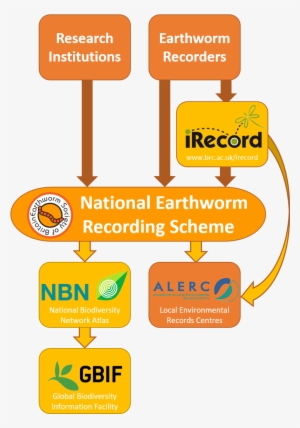 Journey Of An Earthworm Record - Earthworm Society Of Britain