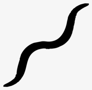 Earthworm Shape Vector - Worms Black And White Png