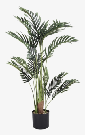 Palm Tree Transparent Image - Tall Artificial Palm Tree Kmart