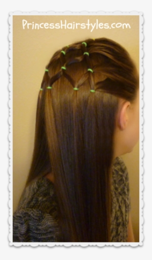 elastic tree hairstyle video - valentine's day