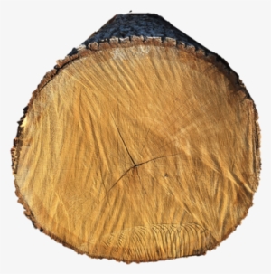 Oak - Lumber