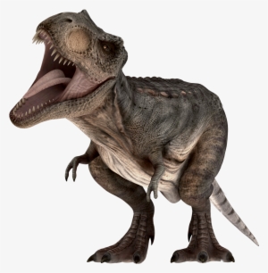 Twitter Png Transparent Images Png All,twitter Logo - Dinossauros Jurassic Park Png