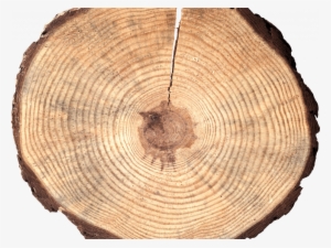 The Blog Log - Wooden Circle
