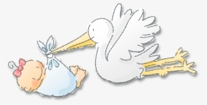 A Stork Carrying A Baby - Cartoon