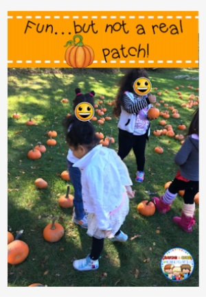 Our Pta Is Awesome And They Set Up An Area For Our - Pumpkin