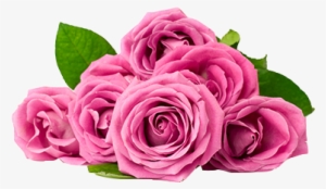 Rose De Mai Essential Oil - Engagement Anniversary Wishes For Friend