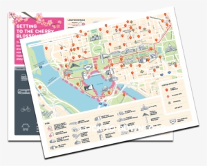 Cherry Blossom Guide Cover Graphic - Plan