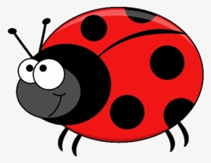 Beetle - Vector Graphics