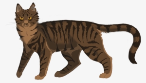 So, Tigerstar Trains Tigerheart In The Dark Forest - Warrior Cats Deviantart Tigerheart