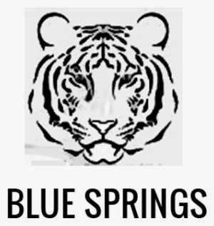 Blue-springs - Bengal Tiger