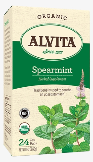 Alvita Spearmint Tea Bag - Alvita Spearmint Tea